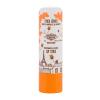 Institut Karité Shea Lip Stick Beeswax Lippenbalsam für Frauen 4 g