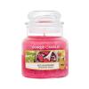 Yankee Candle Red Raspberry Duftkerze 104 g