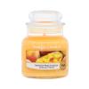 Yankee Candle Mango Peach Salsa Duftkerze 104 g