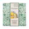 L&#039;Occitane Almond (Amande) Body Care Gift Set Geschenkset Duschöl Almond Shower Oil 250 ml + Körperöl Almond Supple Skin Oil 100 ml + Handcreme Almond Delicious Hands 30 ml