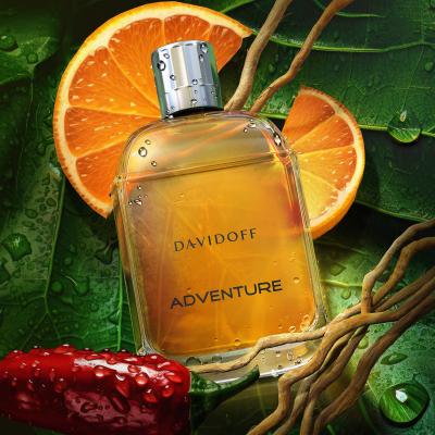 Davidoff Adventure Eau de Toilette für Herren 100 ml