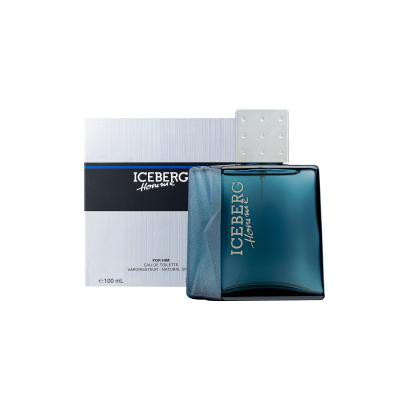 Iceberg Homme Eau de Toilette für Herren 100 ml