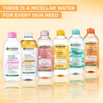 Garnier Skin Naturals Two-Phase Micellar Water All In One Mizellenwasser für Frauen 400 ml