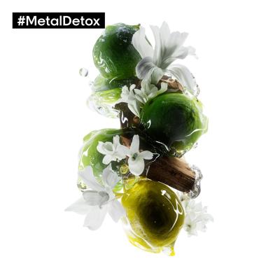 L&#039;Oréal Professionnel Metal Detox Professional Mask Haarmaske für Frauen 250 ml