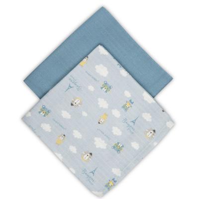 Canpol babies Bonjour Paris Muslin Squares Diapers Blue Stoffwindel für Kinder 2 St.