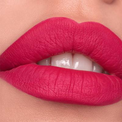 Catrice Plumping Lip Liner Lippenkonturenstift für Frauen 0,35 g Farbton  110 Stay Seductive