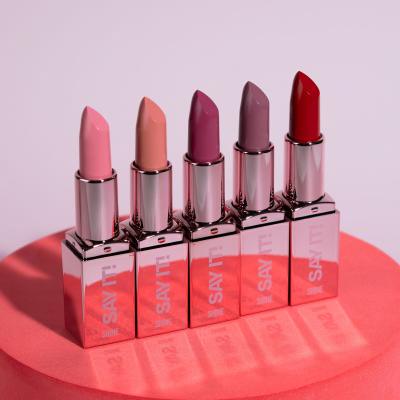 Gabriella Salvete Say It! Shine Lippenstift für Frauen 3,8 g Farbton  01