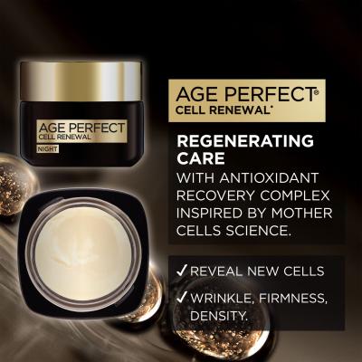 L&#039;Oréal Paris Age Perfect Cell Renew Regenerating Night Cream Nachtcreme für Frauen 50 ml