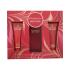 Elizabeth Arden Red Door Geschenkset Edt 100 ml + Körperlotion 100 ml + Duschgel 100 ml