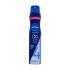 Nivea Care & Hold Regenerating Styling Spray Haarspray für Frauen 250 ml