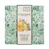 L'Occitane Almond (Amande) Body Care Gift Set Geschenkset Duschöl Almond Shower Oil 250 ml + Körperöl Almond Supple Skin Oil 100 ml + Handcreme Almond Delicious Hands 30 ml