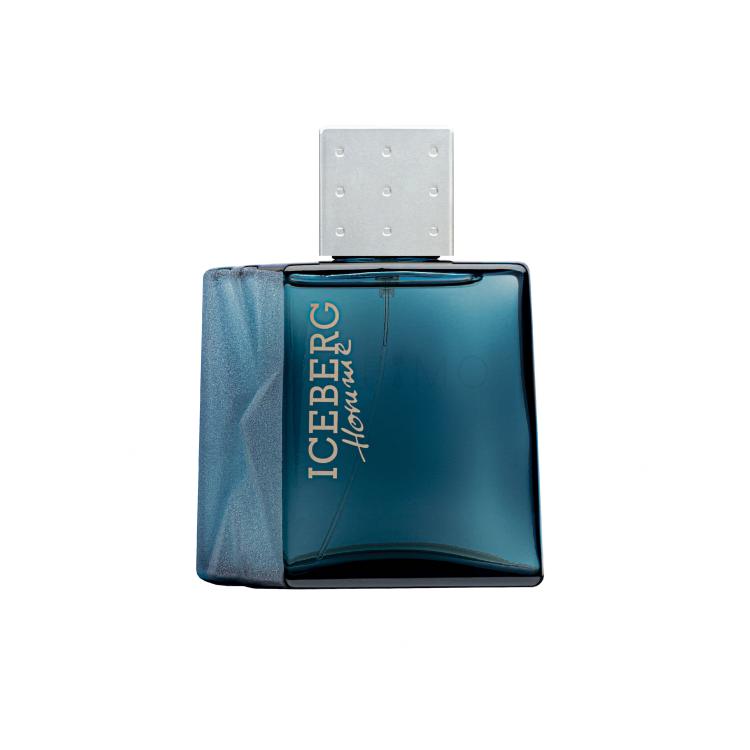 Iceberg Homme Eau de Toilette für Herren 100 ml